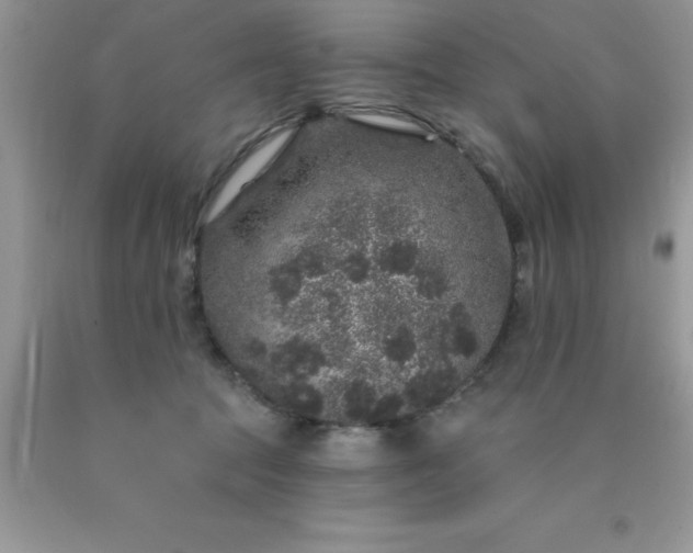 X0000090440369200707272159