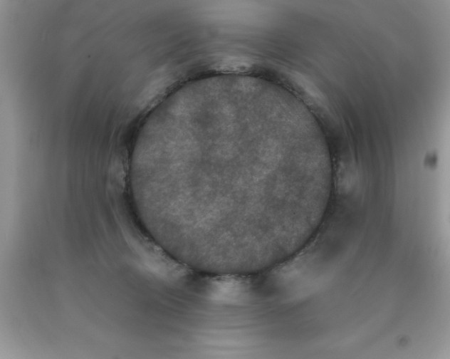 X0000090440370200707272159