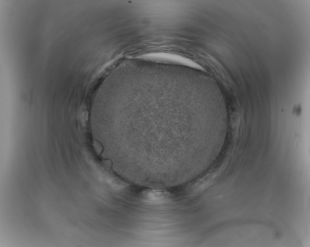 X0000090440372200707272159