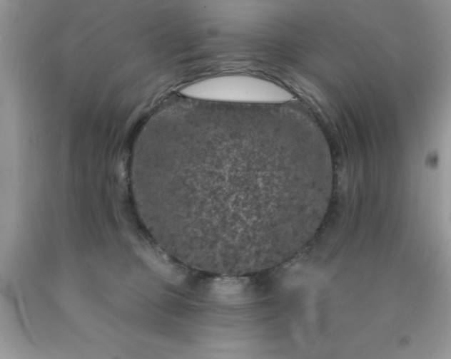 X0000090440373200707272159