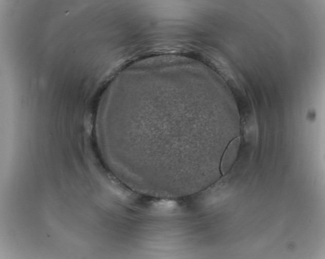 X0000090440374200707272159