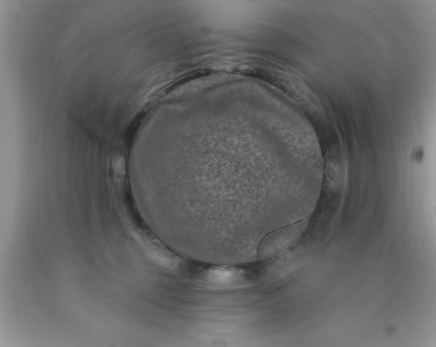 X0000090440375200707272159