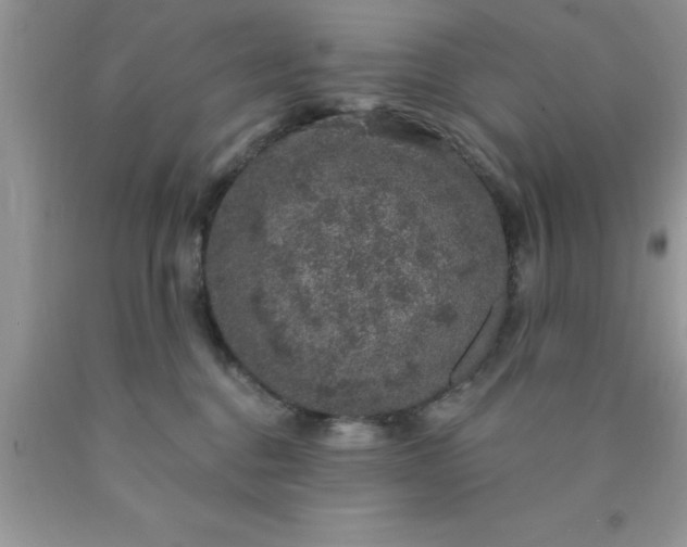 X0000090440376200707272159