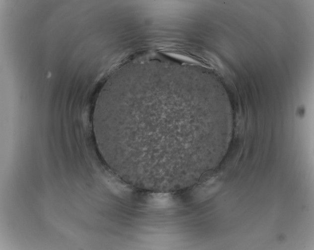 X0000090440377200707272159