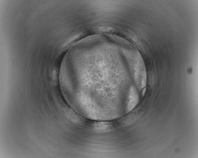 X0000090440378200707272159