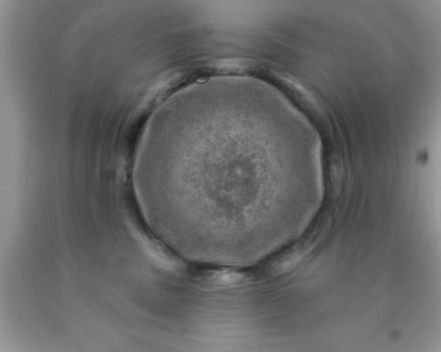 X0000090440379200707272159