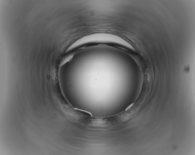 X0000090440380200707272159