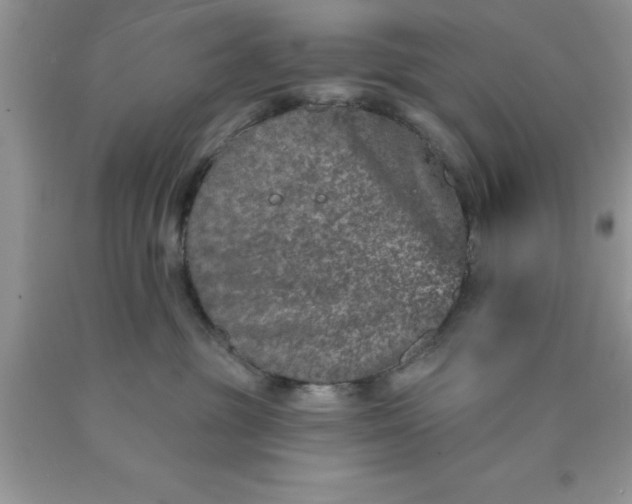 X0000090440381200707272159