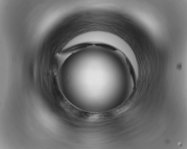 X0000090440382200707272159