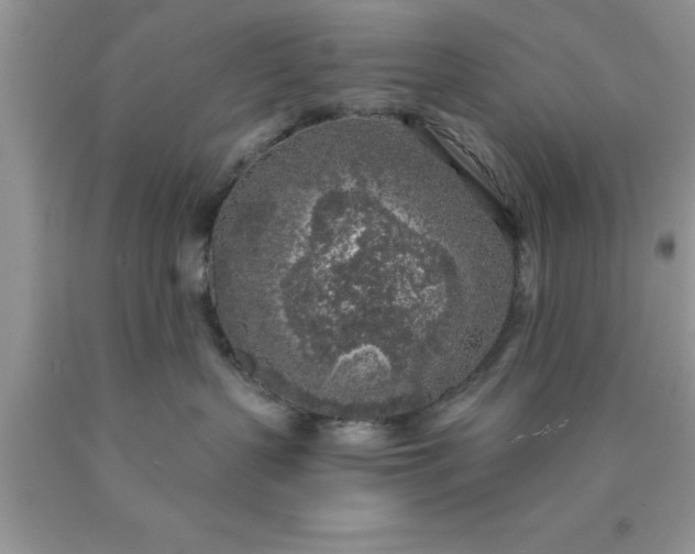 X0000090440383200707272159