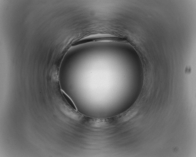 X0000090440384200707272159