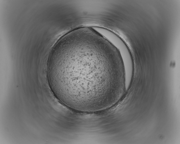 X0000090440385200707272159