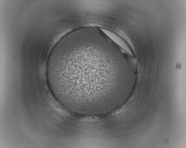 X0000090440386200707272159