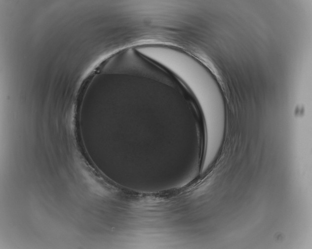 X0000090440387200707272159