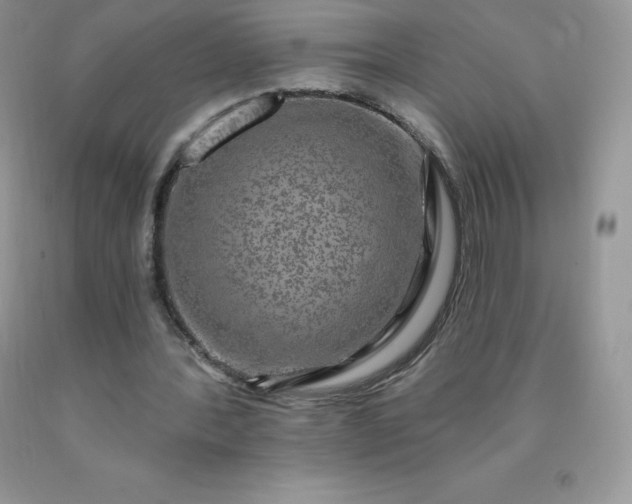 X0000090440388200707272159