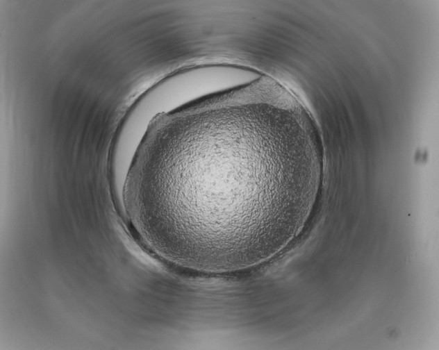 X0000090440389200707272159