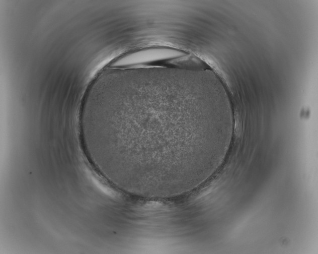 X0000090440390200707272159