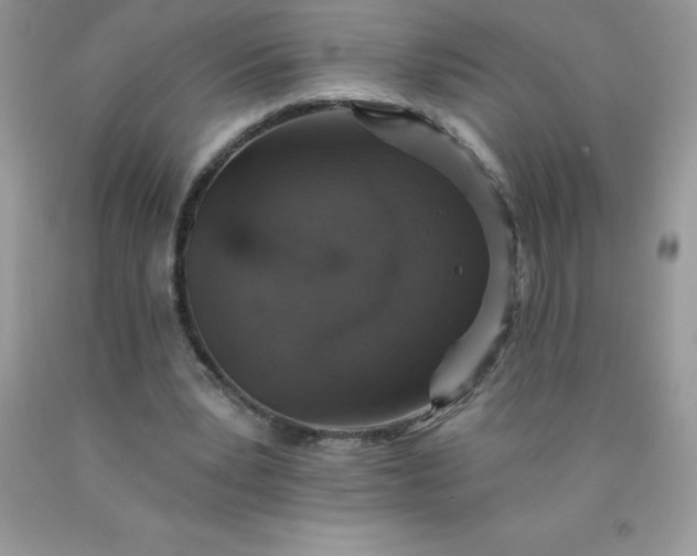 X0000090440391200707272159