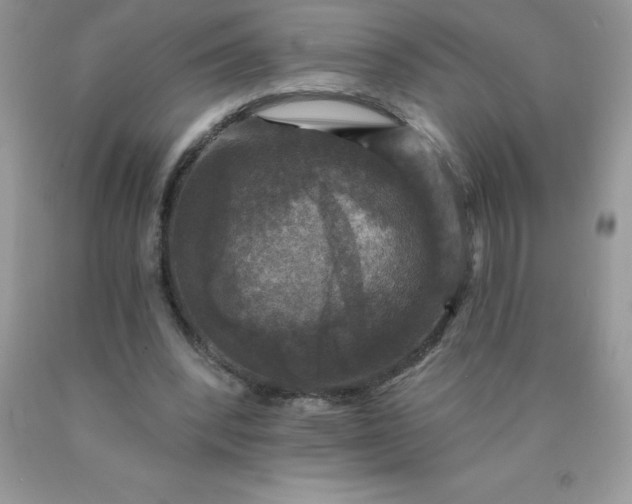 X0000090440392200707272159