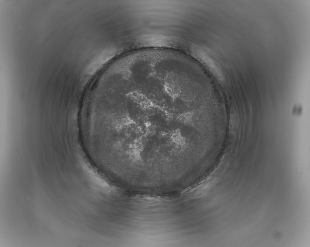 X0000090440394200707272159