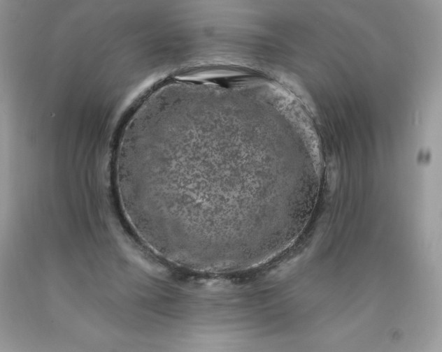 X0000090440395200707272159