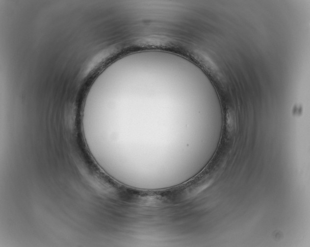 X0000090440396200707272159