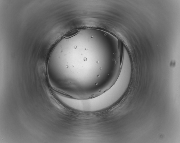 X0000090440397200707272159