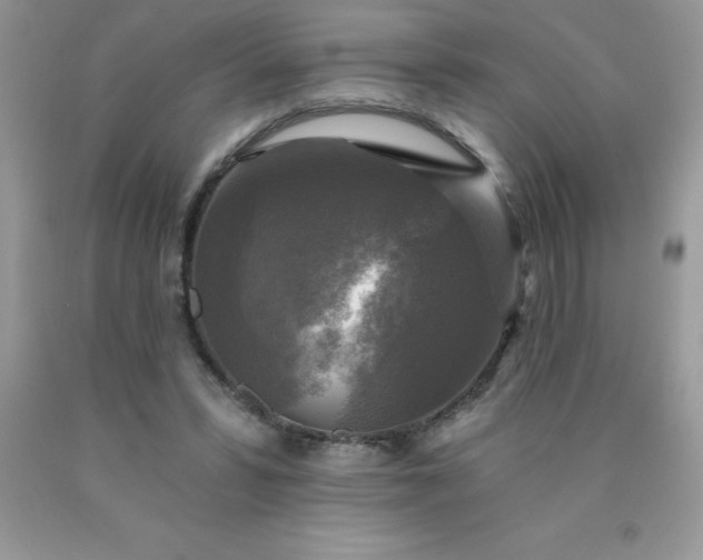 X0000090440399200707272159