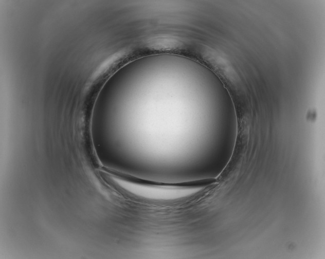 X0000090440400200707272159