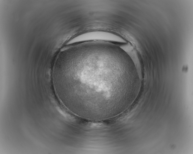 X0000090440401200707272159