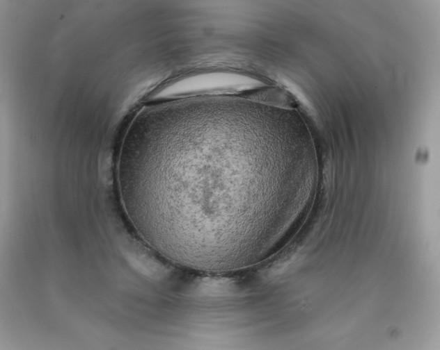 X0000090440403200707272159