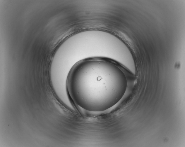 X0000090440405200707272159