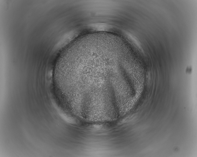 X0000090440406200707272159