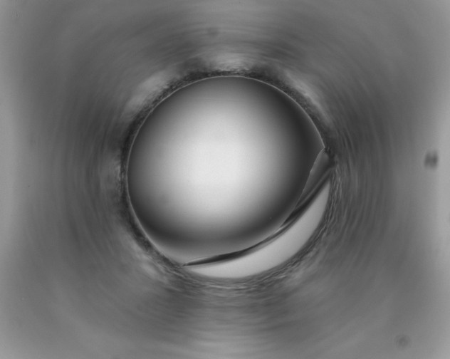 X0000090440407200707272159