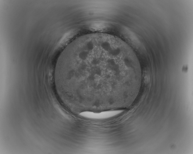 X0000090440408200707272159