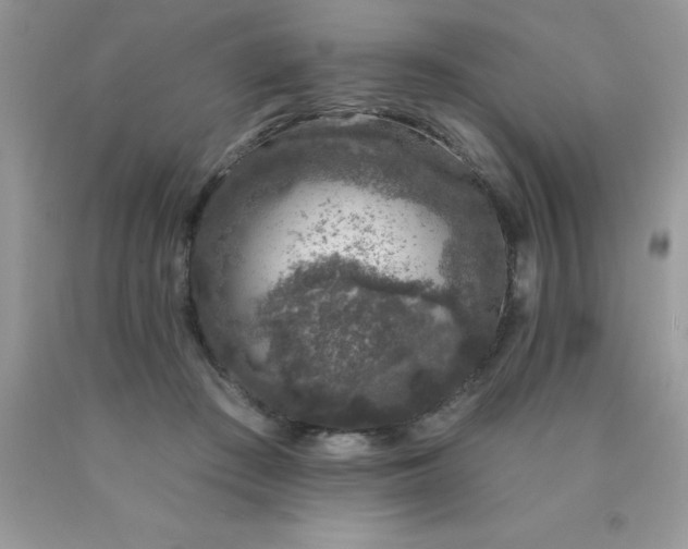 X0000090440409200707272159