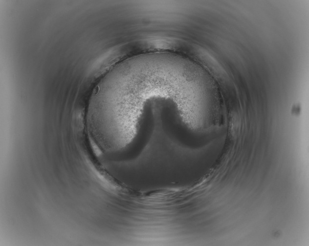 X0000090440410200707272159