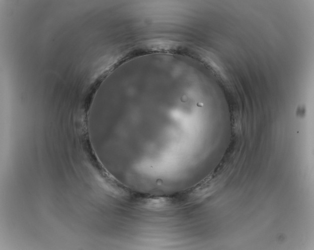 X0000090440411200707272159