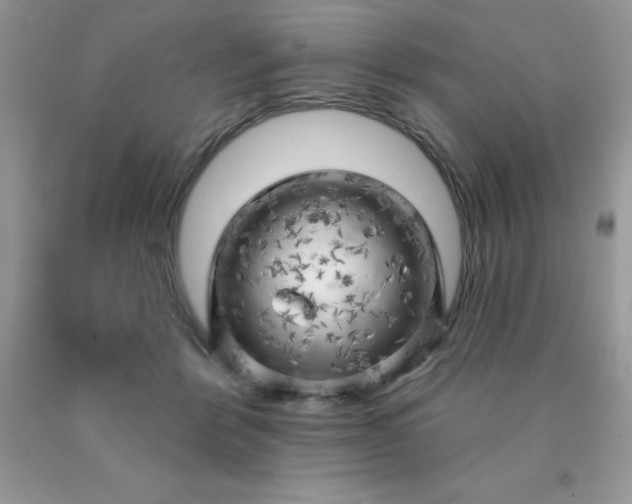 X0000090440412200707272159