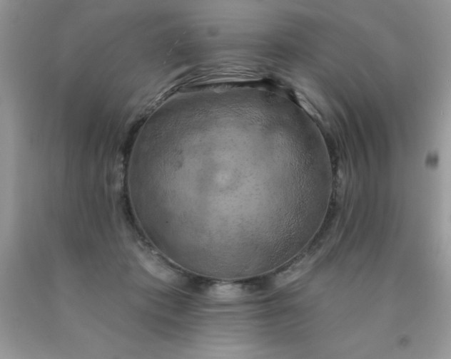 X0000090440413200707272159