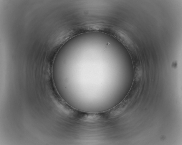 X0000090440414200707272159