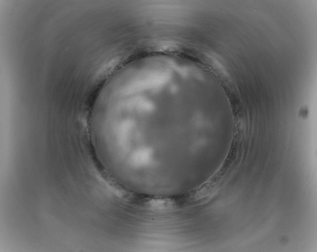 X0000090440415200707272159