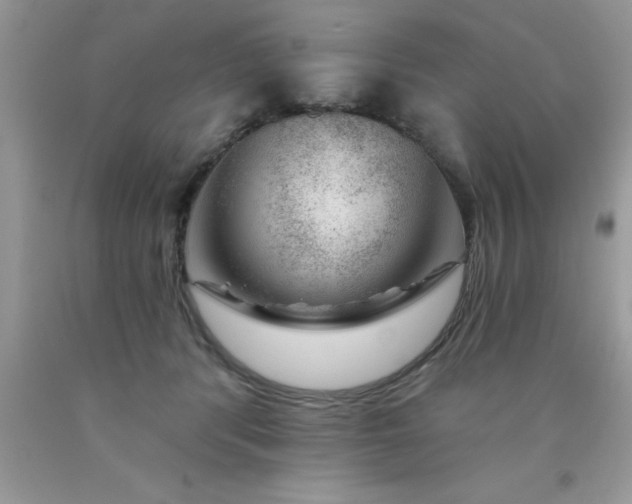 X0000090440416200707272158