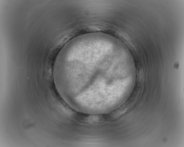 X0000090440418200707272158