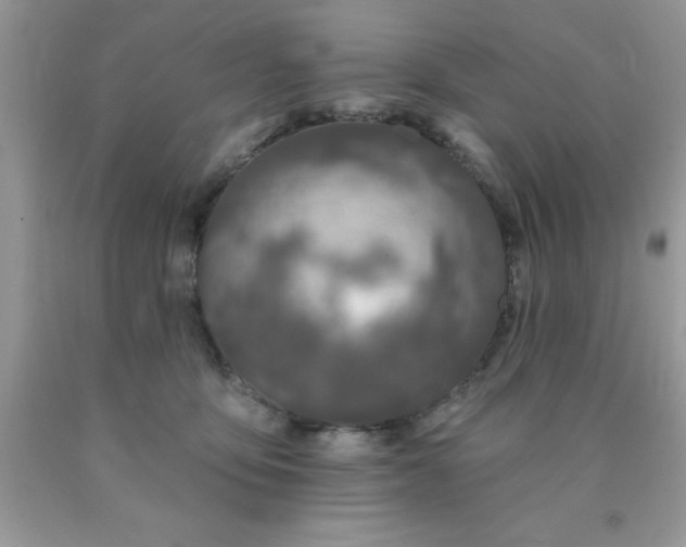 X0000090440419200707272158