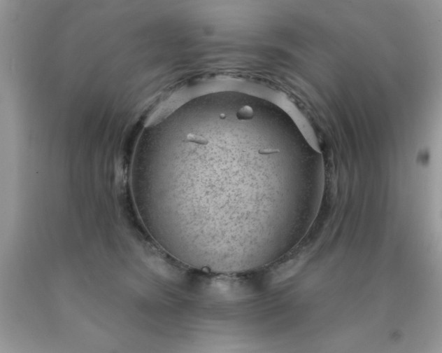 X0000090440420200707272158