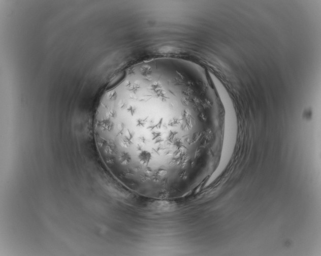 X0000090440421200707272158