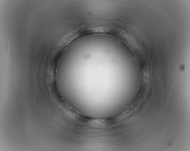 X0000090440422200707272158