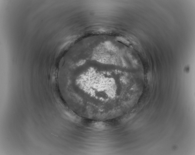 X0000090440423200707272158