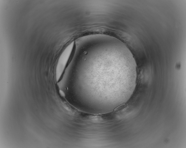 X0000090440424200707272158